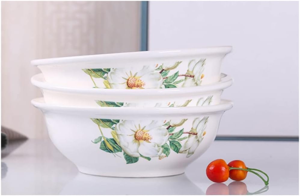 フィカス ジン 3 ファイバー鉢 お皿付き フィカス：ジン 3号鉢入り の